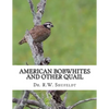 American Bobwhites and Other Quail - Paperback