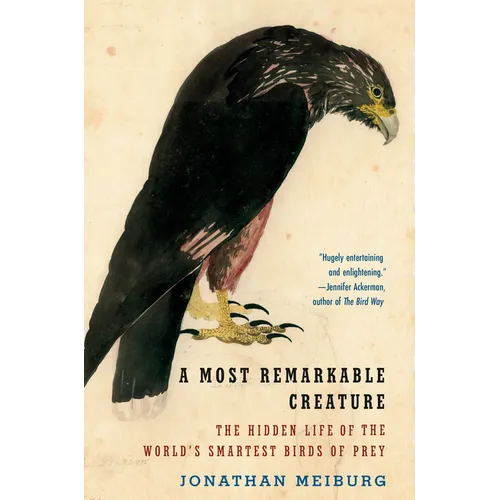 A Most Remarkable Creature: The Hidden Life of the World's Smartest Birds of Prey - Paperback