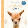 Goodnight, Little Llama: A Board Book - Hardcover