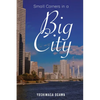 Small Corners in a Big City - Paperback