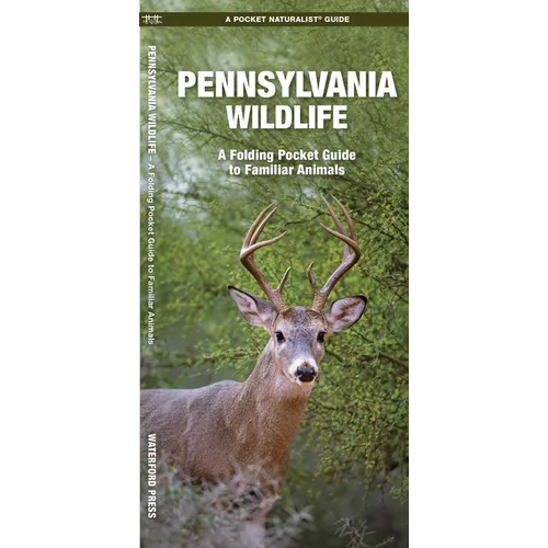 Pennsylvania Wildlife: A Folding Pocket Guide to Familiar Animals - Hardcover