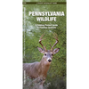 Pennsylvania Wildlife: A Folding Pocket Guide to Familiar Animals - Hardcover