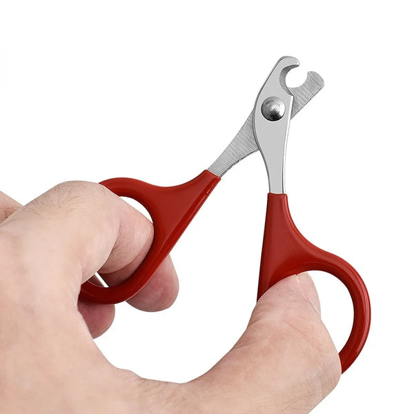 Professional Nail Scissors