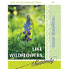 Like Wildflowers, Suddenly: Jesus and the Healing of History 01 - Paperback