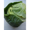 Kapusta - Paperback