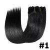 Straight Clip in Extensions