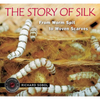 The Story of Silk: From Worm Spit to Woven Scarves - Hardcover