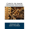 Carcel de Amor (Spanish Edition) - Paperback
