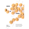 Seeds of Power: Environmental Injustice and Genetically Modified Soybeans in Argentina - Paperback