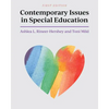 Contemporary Issues in Special Education - Paperback