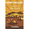 Home Calling to Greatness: A Call to Develop Africa - Paperback