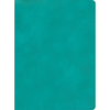 CSB Apologetics Study Bible, Teal Leathertouch - Imitation Leather