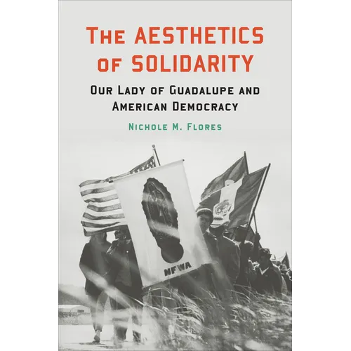 The Aesthetics of Solidarity: Our Lady of Guadalupe and American Democracy - Paperback