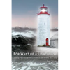For Want of A Lighthouse: Guiding Ships Through the Graveyard of Lake Ontario 1828-1914 - Paperback