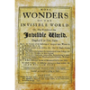 More Wonders of the Invisible World - Paperback