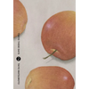 Tokyo These Days, Vol. 2 - Hardcover
