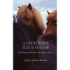A Good Horse Has No Color: Searching Iceland for the Perfect Horse - Paperback