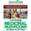 Growing Medicinal Mushrooms At Home The Easy Way: The Simplest & Cheapest Way To Grow Medicinal Mushrooms At Home Even If You Have Never Grown Anythin - Paperback