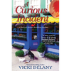 A Curious Incident - Paperback