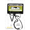 Bandalism: The Rock Group Survival Guide - Paperback