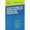 Study Guide to Don Quixote by Miguel de Cervantes - Paperback