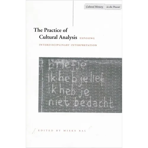 The Practice of Cultural Analysis: Exposing Interdisciplinary Interpretation - Paperback