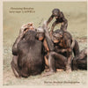 Grooming bonobos: Lucy (age 1) LOVES it - Paperback