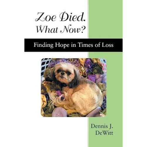 Zoe Died. What Now?: Finding Hope in Times of Loss - Paperback