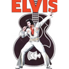Rock and Roll Comics: Elvis Presley Experience: Special Hard Cover Edition - Hardcover