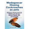 Madagascar hissing cockroaches as pets. Madagascar hissing cockroach book for pros and cons, housing, keeping, diet, care and health. - Paperback