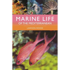 Marine Life of the Mediterranean - Paperback