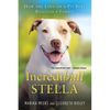 Incredibull Stella: How the Love of a Pit Bull Rescued a Family - Paperback