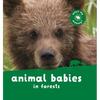 Animal Babies in Forests - Board Book