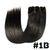 Straight Clip in Extensions