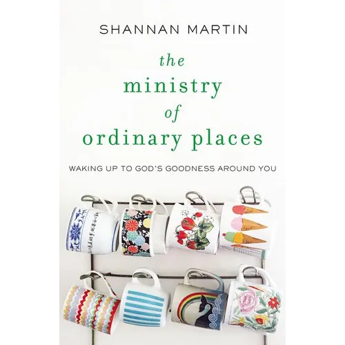 The Ministry of Ordinary Places: Waking Up to God's Goodness Around You - Paperback