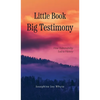 Little Book, Big Testimony: How Vulnerability led to Victory - Hardcover