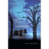 Visitation: The Conjure Work of Black Feminist Avant-Garde Cinema - Paperback