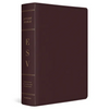 ESV Study Bible, Large Print (Bonded Leather, Burgundy) - Bonded Leather