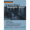 Valuing Intangible Assets - Hardcover