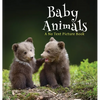 Baby Animals, A No Text Picture Book: A Calming Gift for Alzheimer Patients and Senior Citizens Living With Dementia - Hardcover