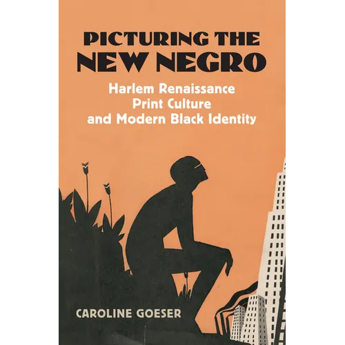 Picturing the New Negro: Harlem Renaissance Print Culture and Modern Black Identity - Hardcover