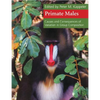Primate Males - Paperback