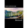 Max Havelaar - Paperback