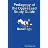 Pedagogy of the Oppressed Study Guide - Paperback