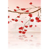 Japanese Writing Practice Book: Small Japanese Language Character Writing Practice Workbook: Kanji, Kana, Hiragana or Katakana Genkouyoushi Paper: 150 - Paperback