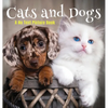 Cats and Dogs, A No Text Picture Book: A Calming Gift for Alzheimer Patients and Senior Citizens Living With Dementia - Hardcover