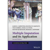Multiple Imputation and Its Application - Hardcover