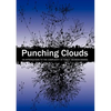 Punching Clouds: An Introduction to the Complexity of Public Decision-Making - Paperback
