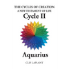 The Cycles of Creation A New Testament of Life Cycle II Aquarius - Paperback