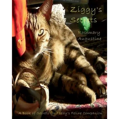 Ziggy's Secrets: An Internet Password Keeper - Paperback